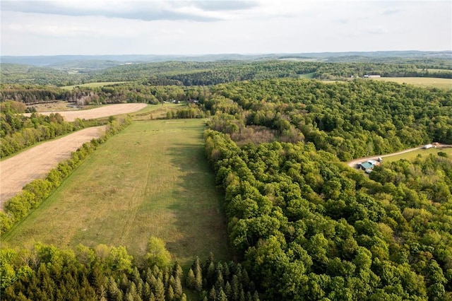 1364 County Highway 12, New Lisbon, NY 13810 - photo 33