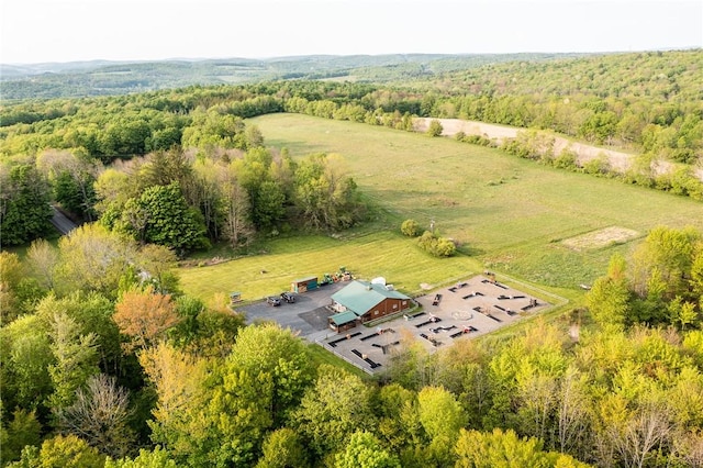 1364 County Highway 12, New Lisbon, NY 13810 - photo 38