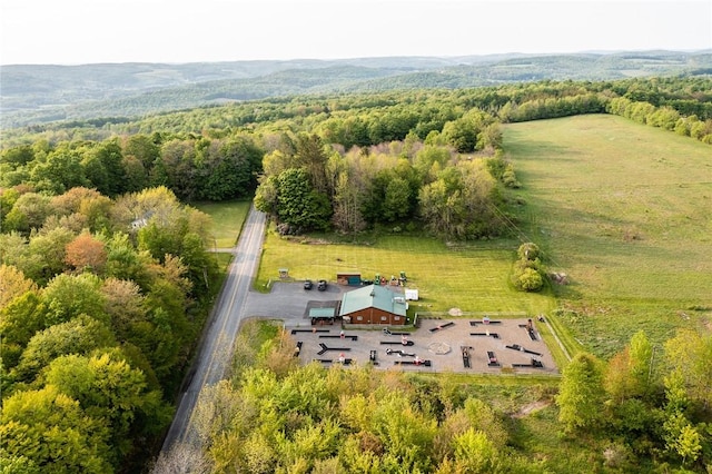 1364 County Highway 12, New Lisbon, NY 13810 - photo 39