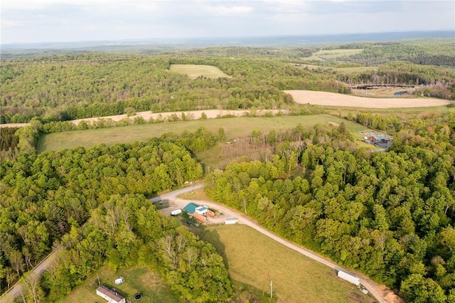 1364 County Highway 12, New Lisbon, NY 13810 - photo 40