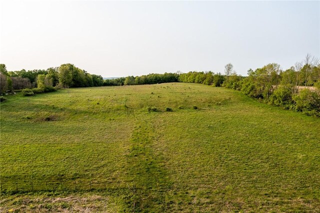1364 County Highway 12, New Lisbon, NY 13810 - photo 41
