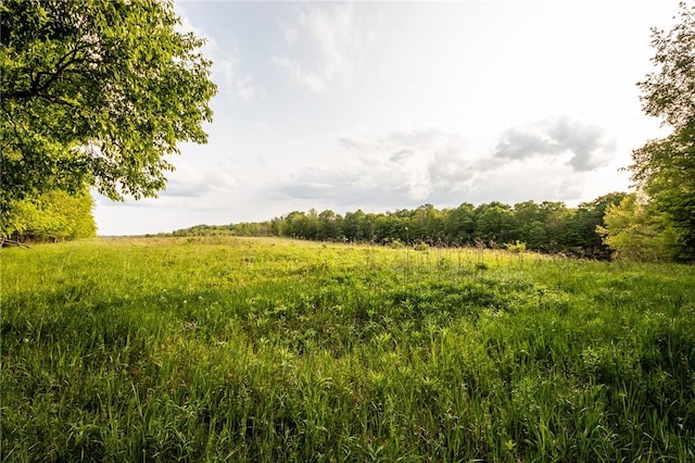 1364 County Highway 12, New Lisbon, NY 13810 - photo 44