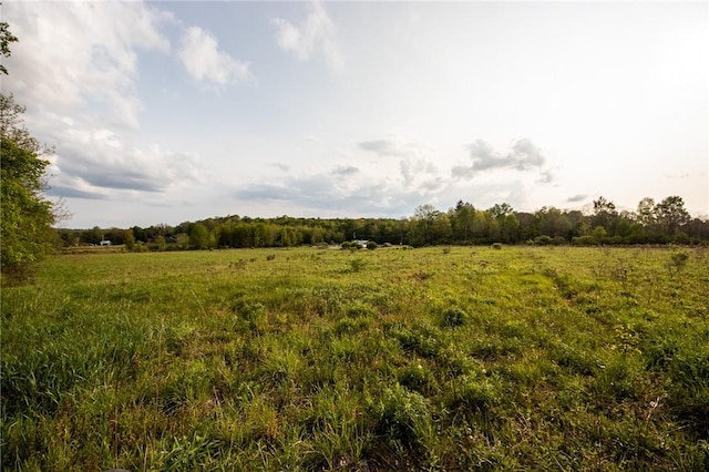 1364 County Highway 12, New Lisbon, NY 13810 - photo 46