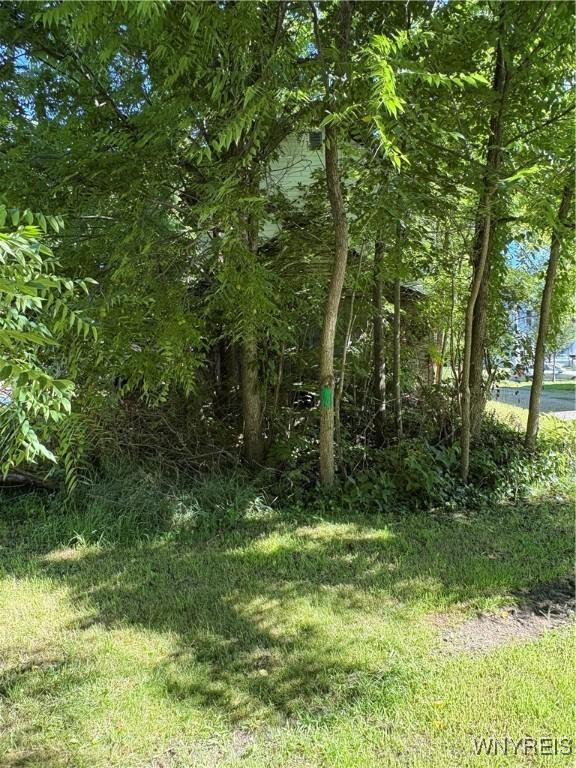 132 Chestnut St, Persia, NY 14070 - photo 4