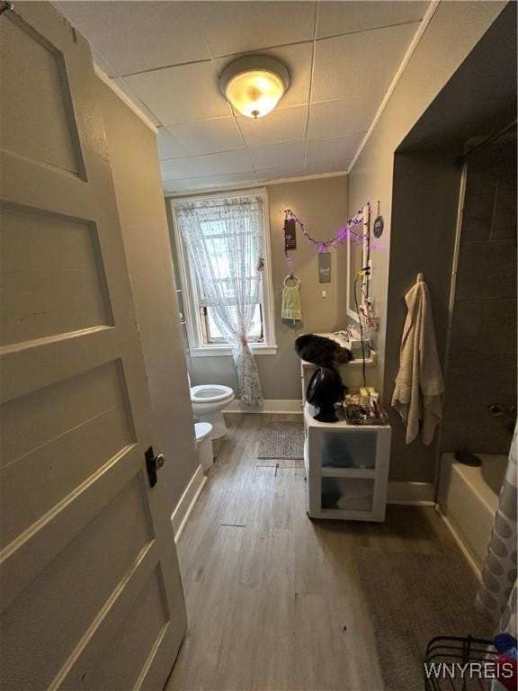 18 Kamper Ave, Buffalo, NY 14210 - photo 13