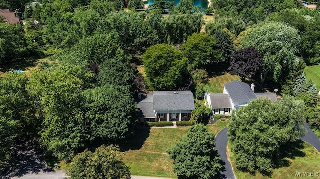 4900 Cliffside Dr W, Clarence, NY 14031 - photo 3