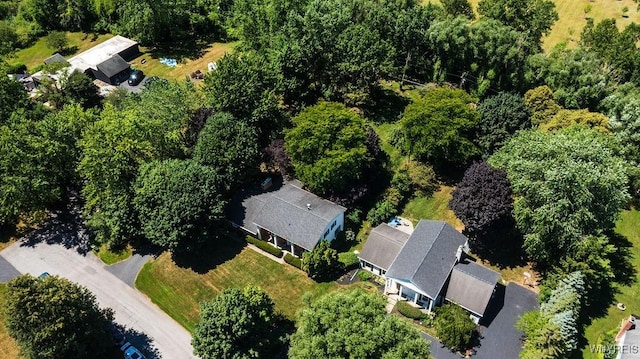 4900 Cliffside Dr W, Clarence, NY 14031 - photo 4