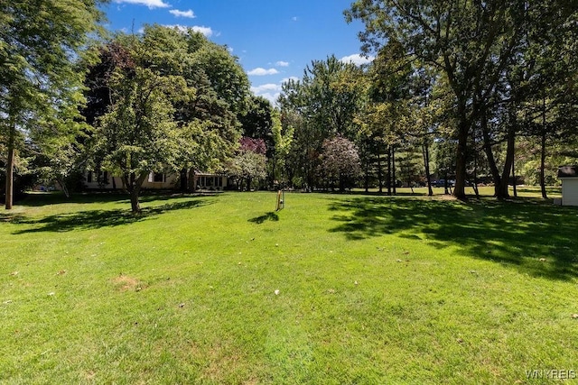 4900 Cliffside Dr W, Clarence, NY 14031 - photo 43