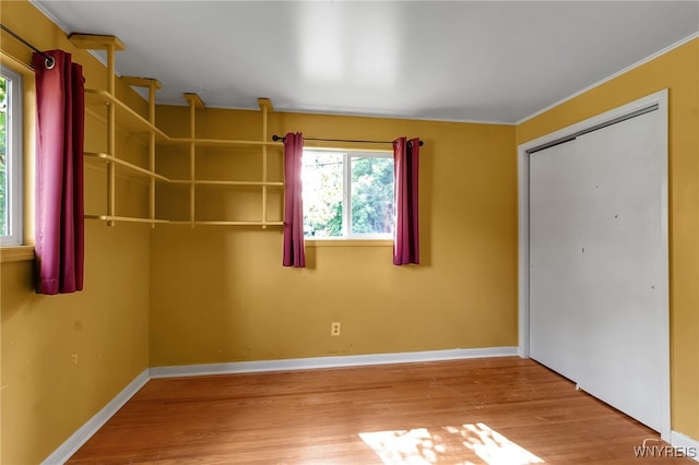 6693 Rollin Dr, Boston, NY 14025 - photo 31