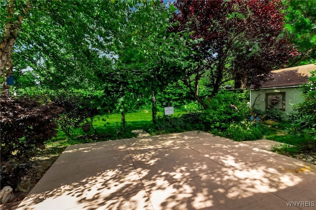 6693 Rollin Dr, Boston, NY 14025 - photo 40