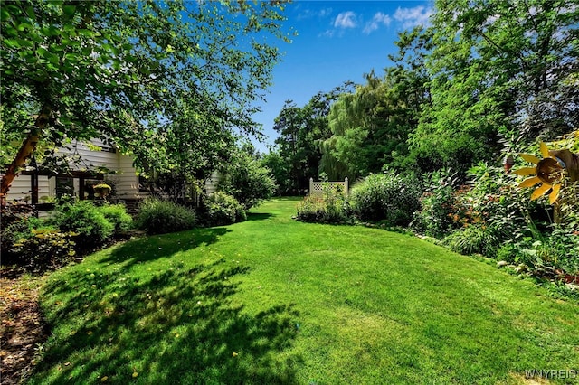 6693 Rollin Dr, Boston, NY 14025 - photo 44