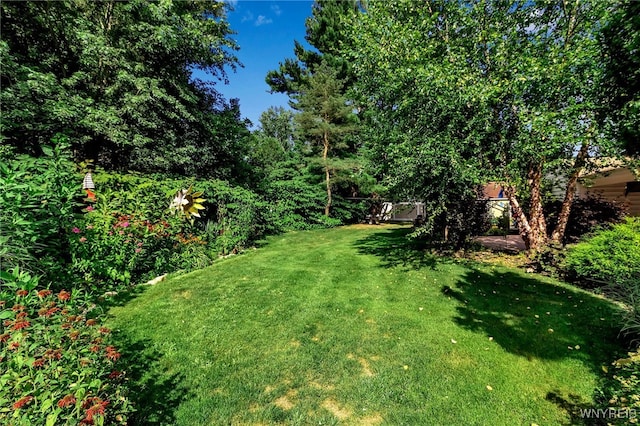 6693 Rollin Dr, Boston, NY 14025 - photo 45