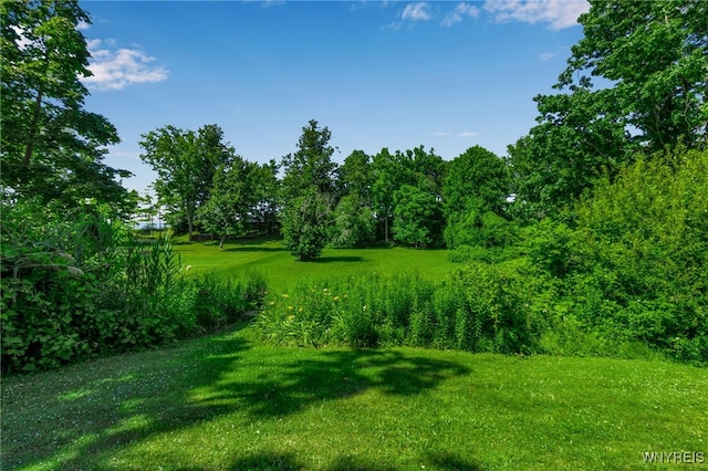 6293 E Lake Rd, Newfane, NY 14028 - photo 29