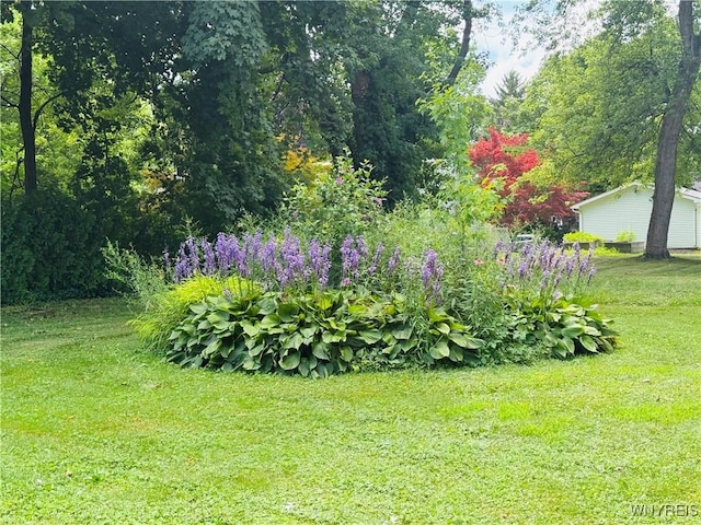 61 Euclid Ave, Hamburg, NY 14075 - photo 23