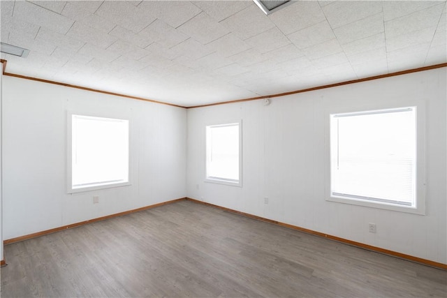 1 Mill St, Avoca, NY 14809 - photo 21