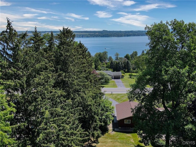 2117 W Lake Rd, Skaneateles, NY 13152 - photo 28