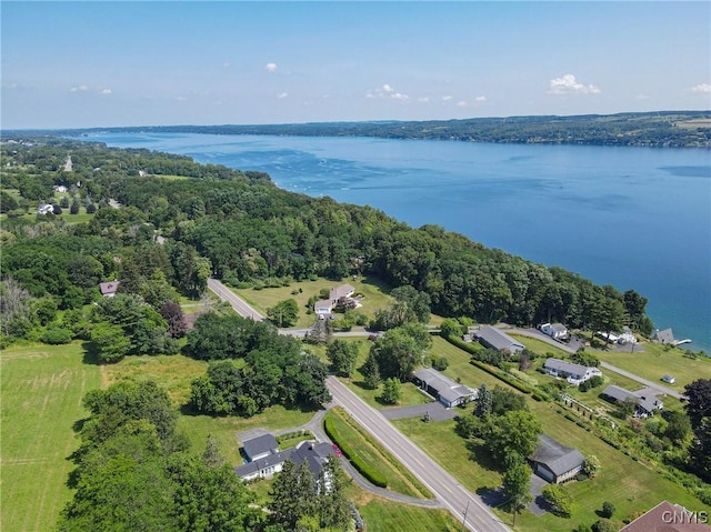 2117 W Lake Rd, Skaneateles, NY 13152 - photo 30