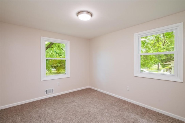 146 Hidden Creek Ln, Hamlin, NY 14464 - photo 22