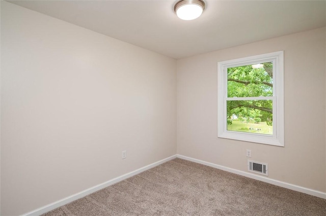 146 Hidden Creek Ln, Hamlin, NY 14464 - photo 24