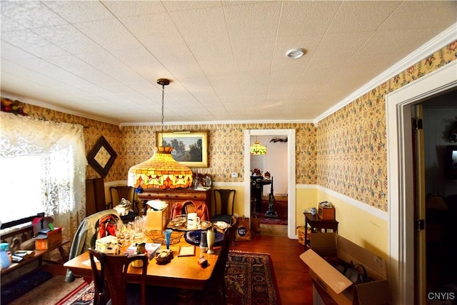 1019 Highland St, Syracuse, NY 13203 - photo 3