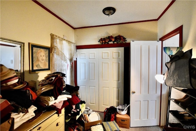 1019 Highland St, Syracuse, NY 13203 - photo 13