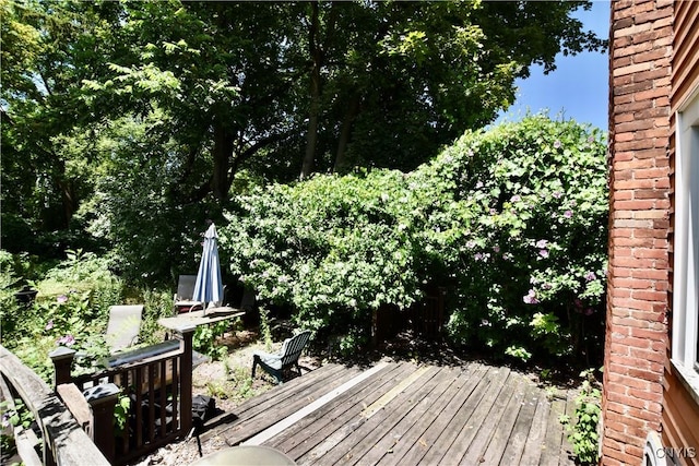 1019 Highland St, Syracuse, NY 13203 - photo 22