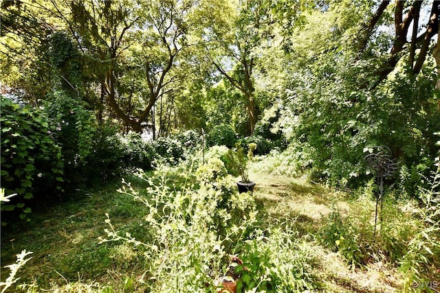 1019 Highland St, Syracuse, NY 13203 - photo 25