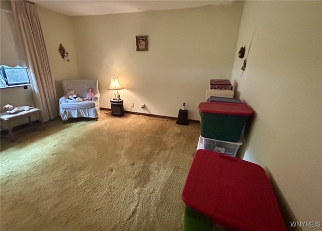 4840 Sheridan Dr, Amherst, NY 14221 - photo 24