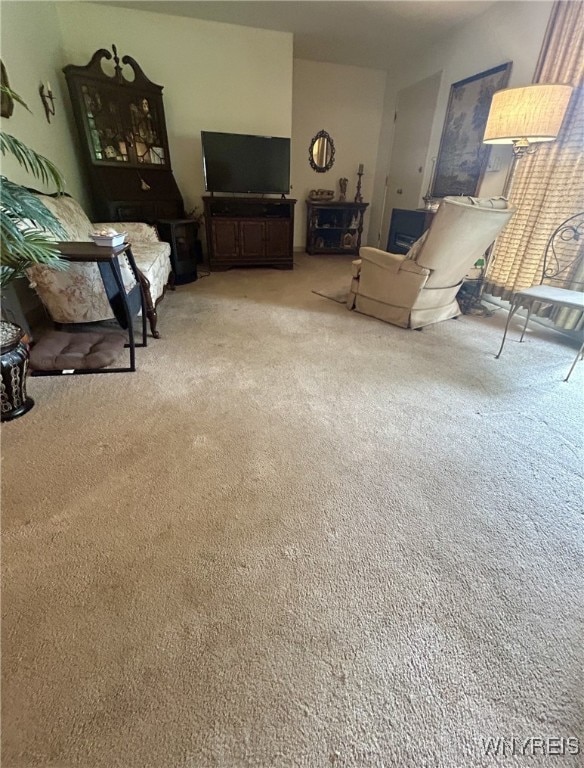 4840 Sheridan Dr, Amherst, NY 14221 - photo 15