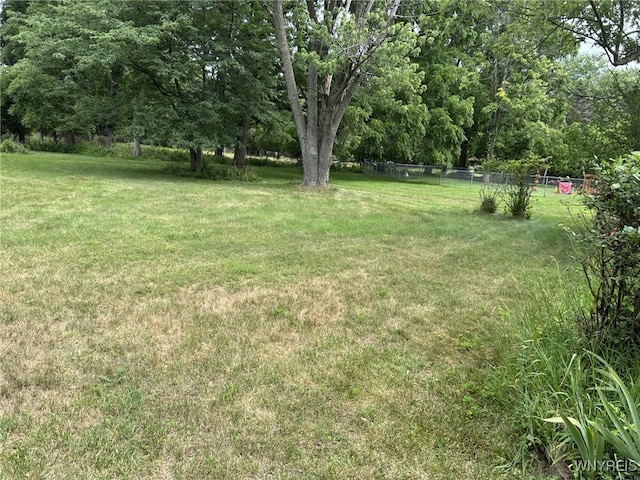 4840 Sheridan Dr, Amherst, NY 14221 - photo 7