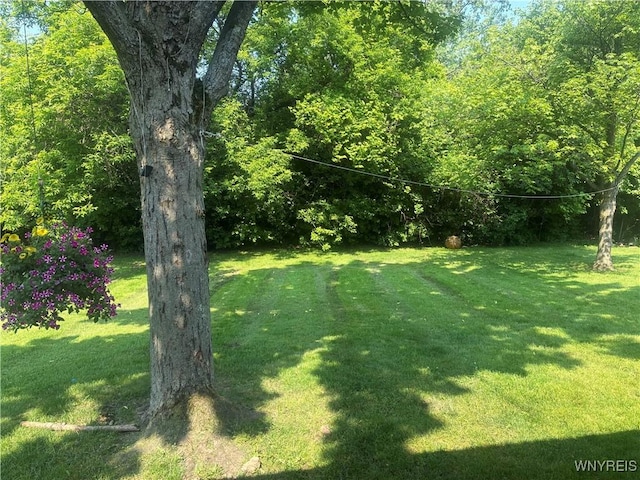 102 N Union Rd, Amherst, NY 14221 - photo 19
