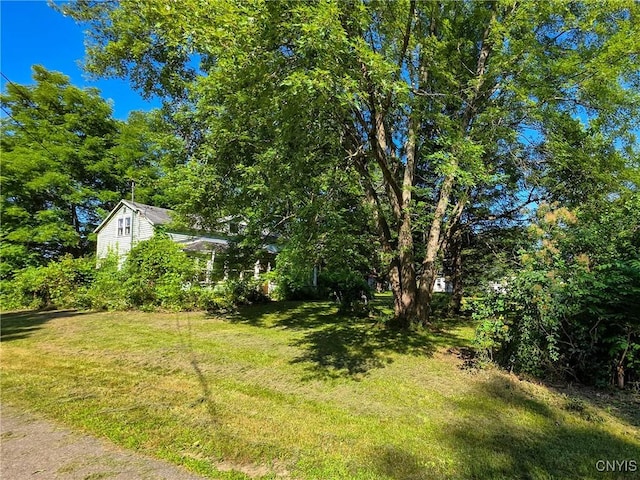 36 Washer Rd, Schroeppel, NY 13135 - photo 14