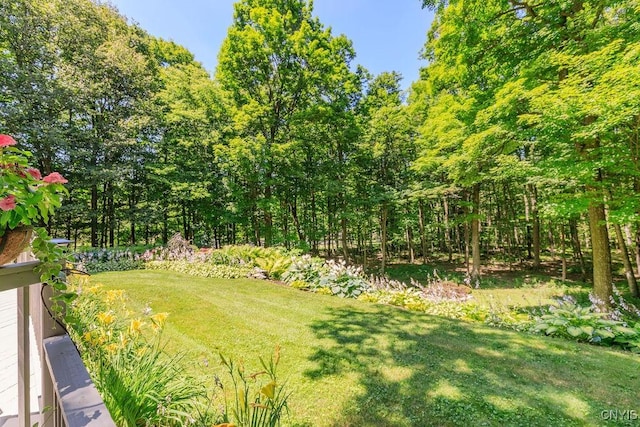 8371 Salt Springs Rd, Manlius, NY 13104 - photo 48
