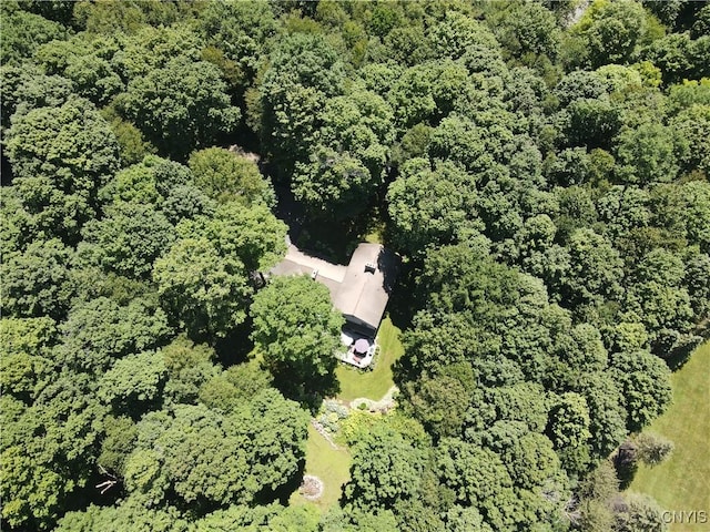 8371 Salt Springs Rd, Manlius, NY 13104 - photo 49