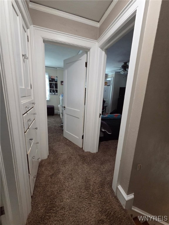 668 Orchard Pkwy, Niagara Falls, NY 14301 - photo 13