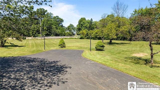 5241 W Lake Rd, Pomfret, NY 14048 - photo 9