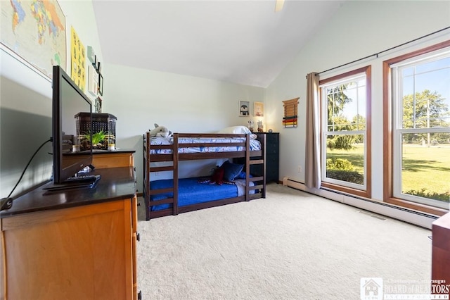 5241 W Lake Rd, Pomfret, NY 14048 - photo 41