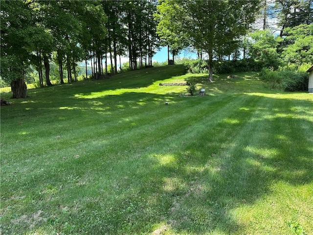 153 Brookins Rd, North Norwich, NY 13464 - photo 28