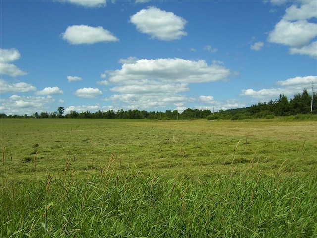 Pitcher Springs Rd, Pharsalia, NY 13801 - photo 1