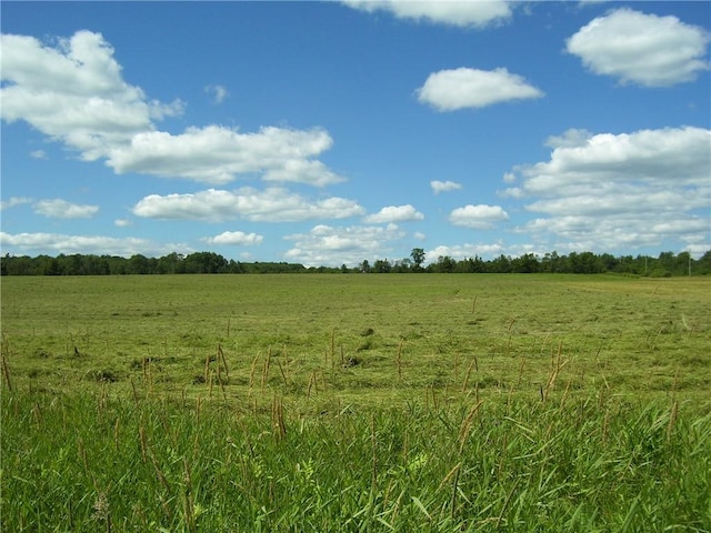 Pitcher Springs Rd, Pharsalia, NY 13801 - photo 2