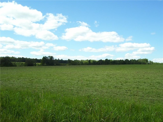 Pitcher Springs Rd, Pharsalia, NY 13801 - photo 3