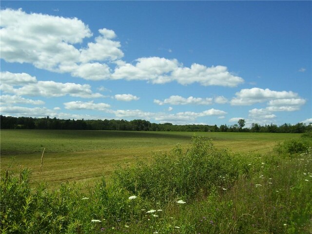 Pitcher Springs Rd, Pharsalia, NY 13801 - photo 4