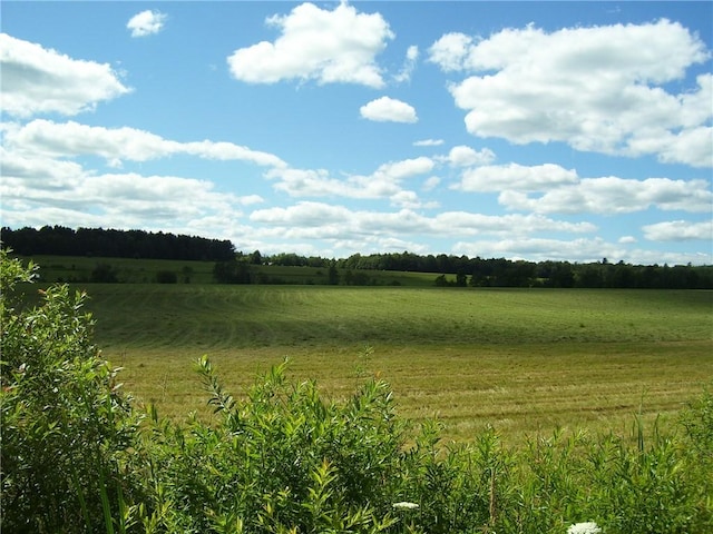 Pitcher Springs Rd, Pharsalia, NY 13801 - photo 5