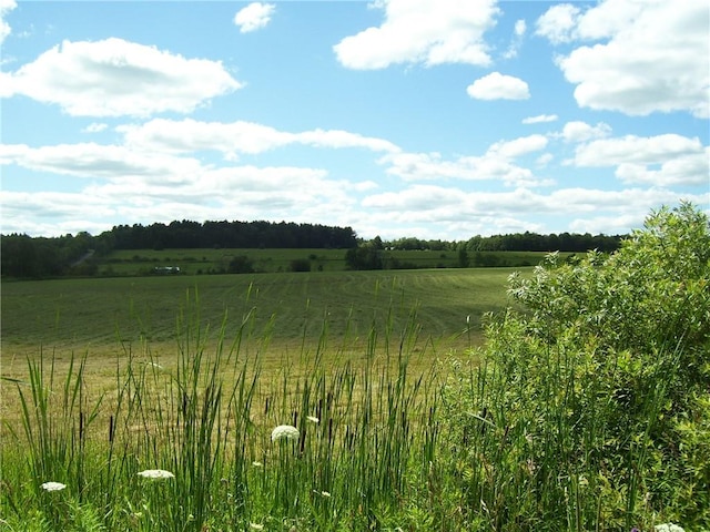 Pitcher Springs Rd, Pharsalia, NY 13801 - photo 6