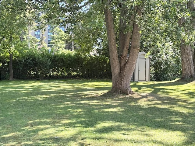 12 Willard St, Auburn, NY 13021 - photo 29