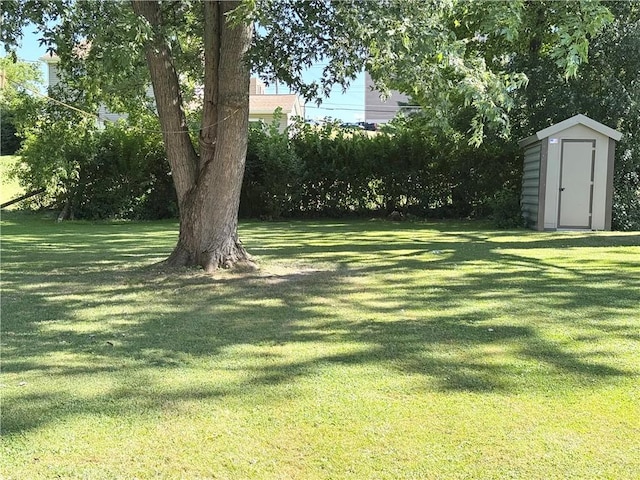 12 Willard St, Auburn, NY 13021 - photo 30