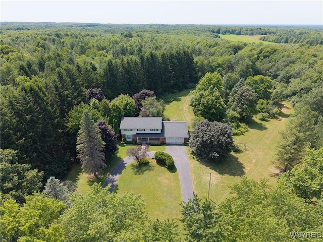 10902 Alleghany Rd, Darien, NY 14040 - photo 3