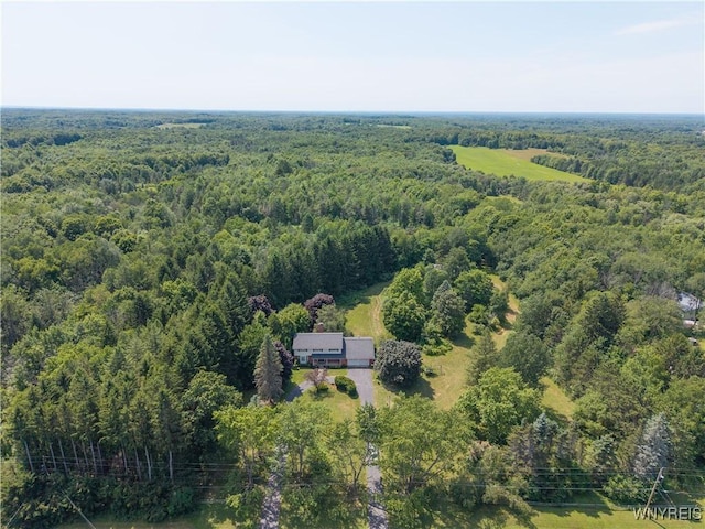 10902 Alleghany Rd, Darien, NY 14040 - photo 4
