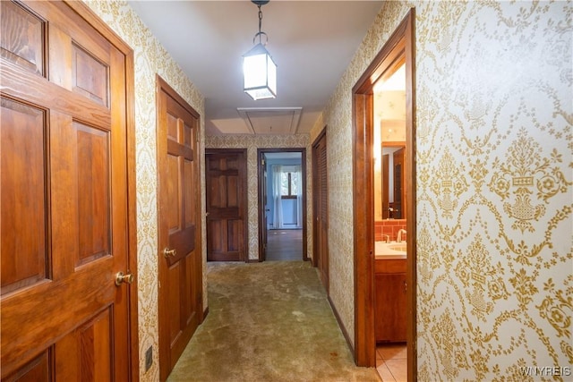 10902 Alleghany Rd, Darien, NY 14040 - photo 27