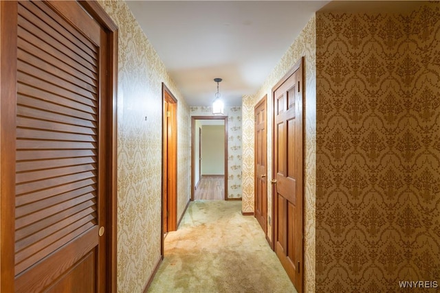 10902 Alleghany Rd, Darien, NY 14040 - photo 31